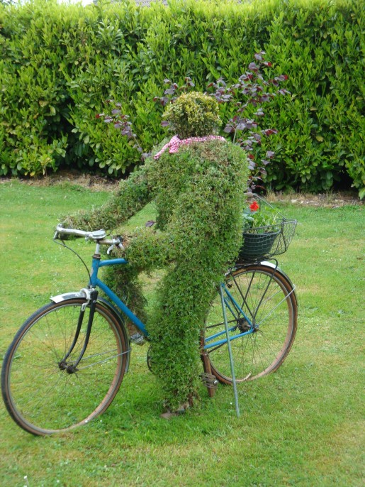 vélo plante